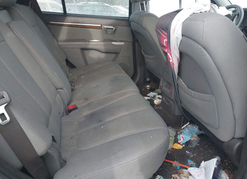 Photo 8 of 2010 Hyundai Santa FE GLS (VIN 5NMSGDAB3AH374163)