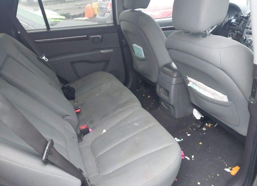 Photo 8 of 2010 Hyundai Santa FE GLS (VIN 5NMSGDAB4AH414556)
