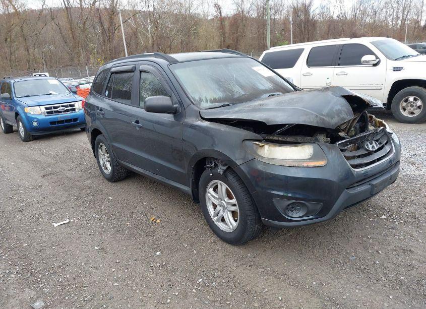 2010 Hyundai Santa FE GLS (VIN 5NMSGDAB6AH350102) main photo