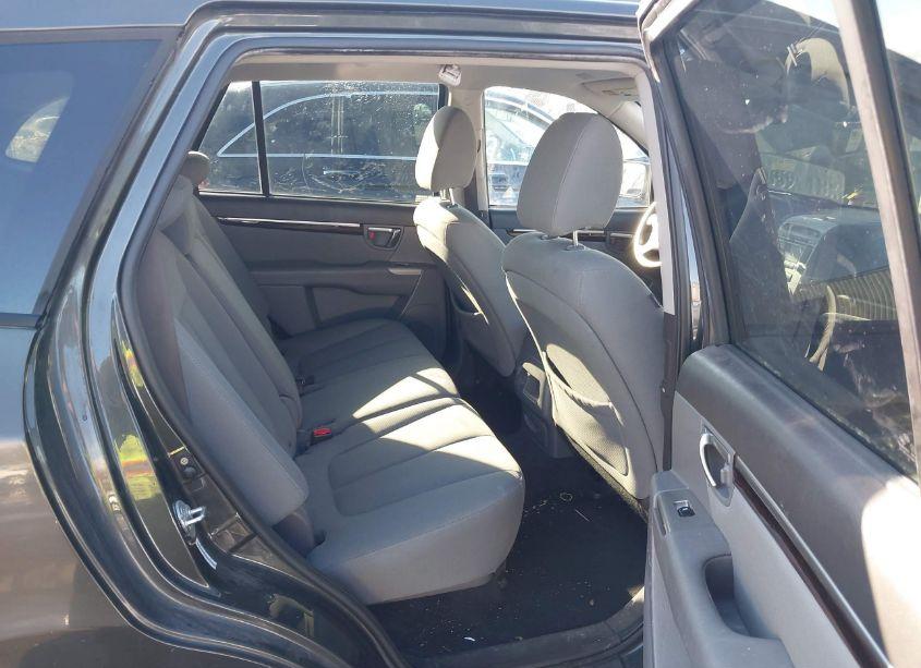 Photo 8 of 2010 Hyundai Santa FE GLS (VIN 5NMSGDAB8AH365345)