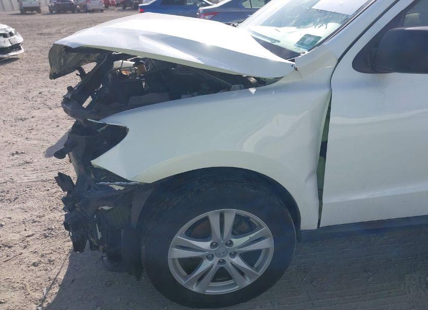 Photo 21 of 2010 Hyundai Santa FE GLS (VIN 5NMSGDABXAH406803)
