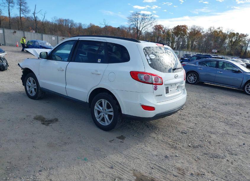 Photo 3 of 2010 Hyundai Santa FE GLS (VIN 5NMSGDABXAH406803)