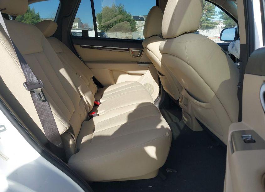 Photo 8 of 2010 Hyundai Santa FE GLS (VIN 5NMSGDABXAH406803)