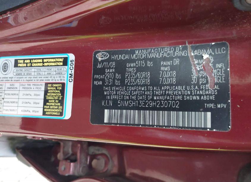 Photo 9 of 2009 Hyundai Santa FE SE (VIN 5NMSH13E29H230702)