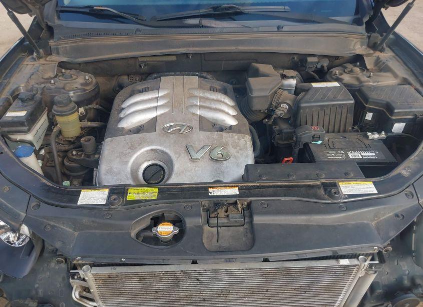 Photo 10 of 2007 Hyundai Santa FE LIMITED/SE (VIN 5NMSH13E37H019845)