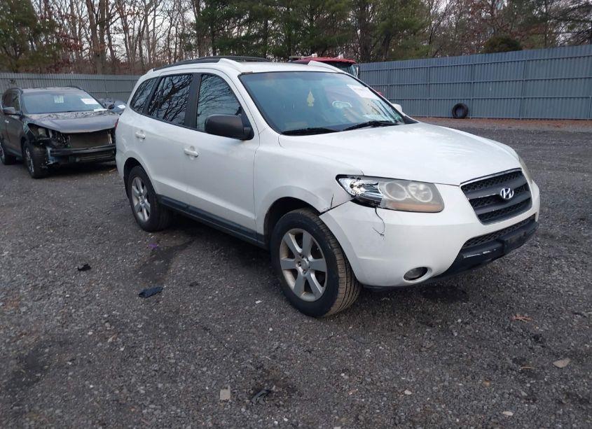 2007 Hyundai Santa FE LIMITED/SE (VIN 5NMSH13E47H098118) main photo