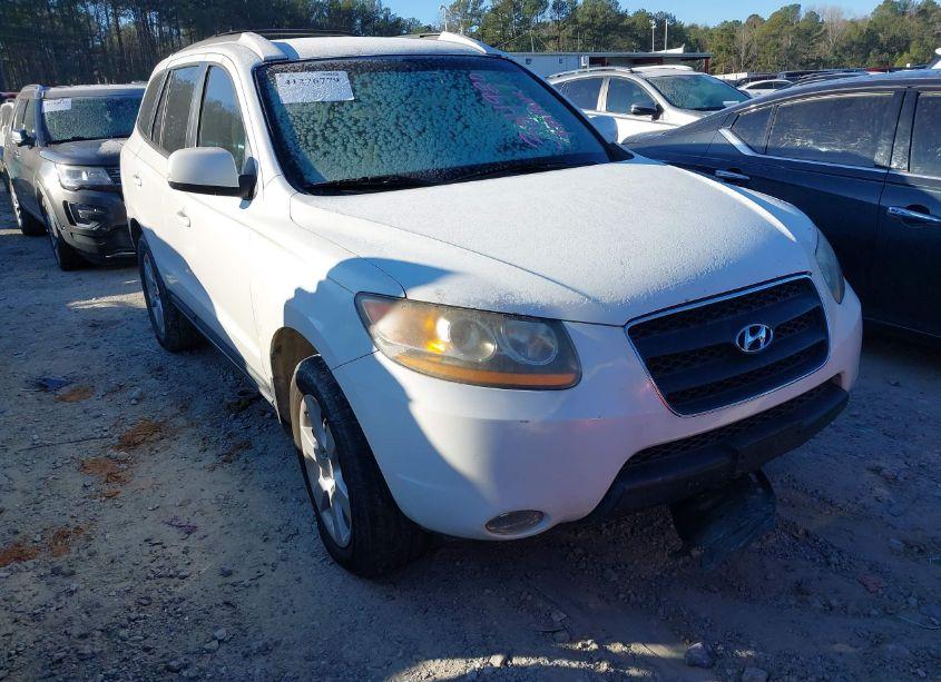 2009 Hyundai Santa FE SE (VIN 5NMSH13EX9H304920) main photo