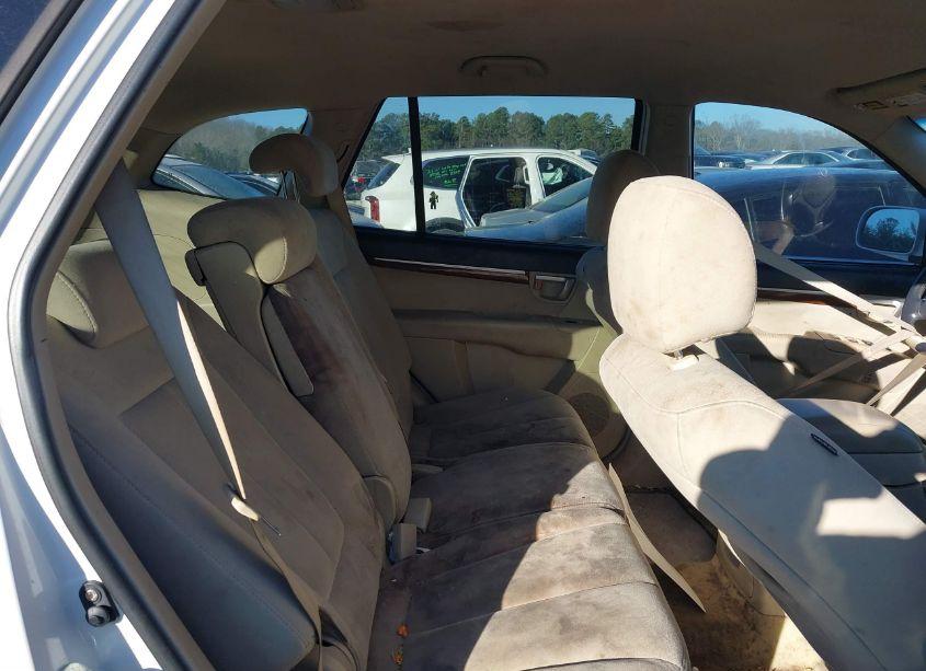 Photo 8 of 2009 Hyundai Santa FE SE (VIN 5NMSH13EX9H304920)