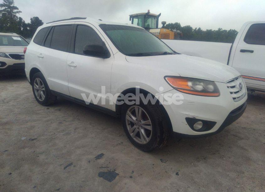 2010 Hyundai Santa FE SE (VIN 5NMSH4AG3AH397189) main photo