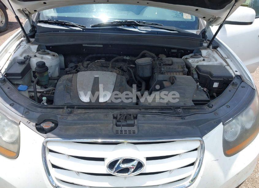 Photo 10 of 2010 Hyundai Santa FE SE (VIN 5NMSH4AG5AH336443)