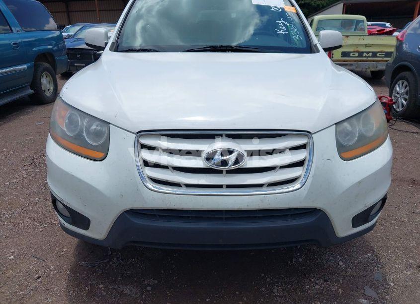 Photo 6 of 2010 Hyundai Santa FE SE (VIN 5NMSH4AG5AH336443)