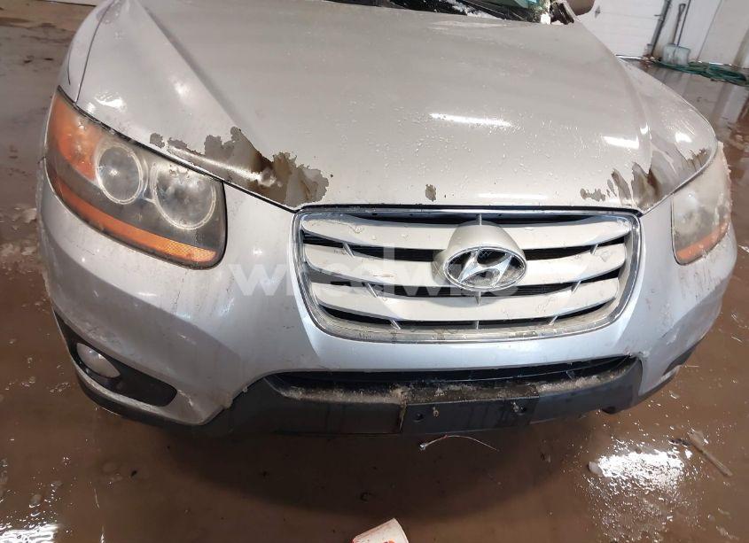 Photo 6 of 2010 Hyundai Santa FE SE (VIN 5NMSHDAG3AH343598)