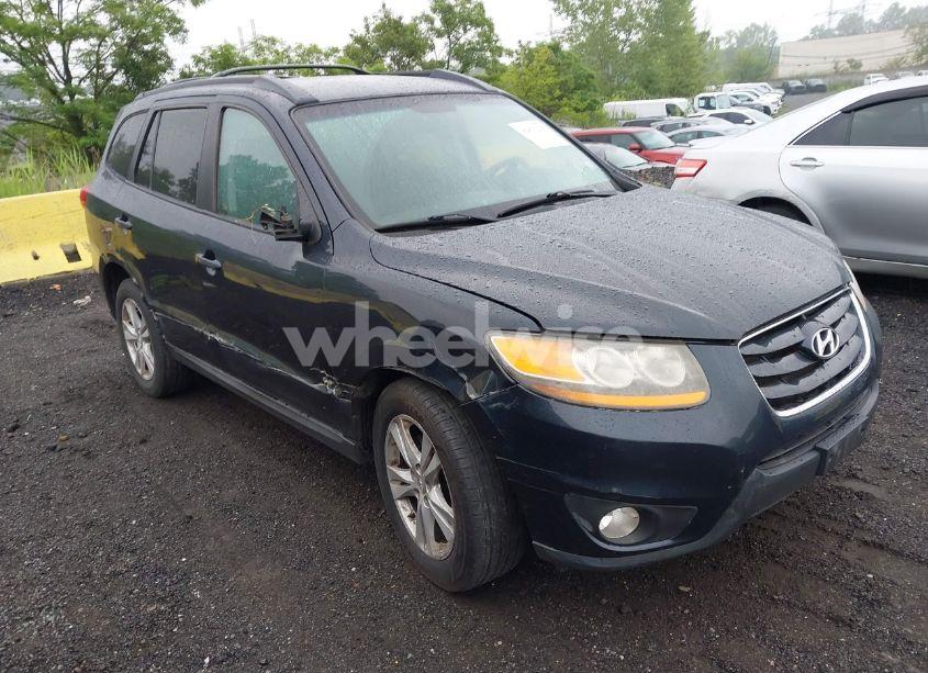 2010 Hyundai Santa FE SE (VIN 5NMSHDAG5AH344946) main photo