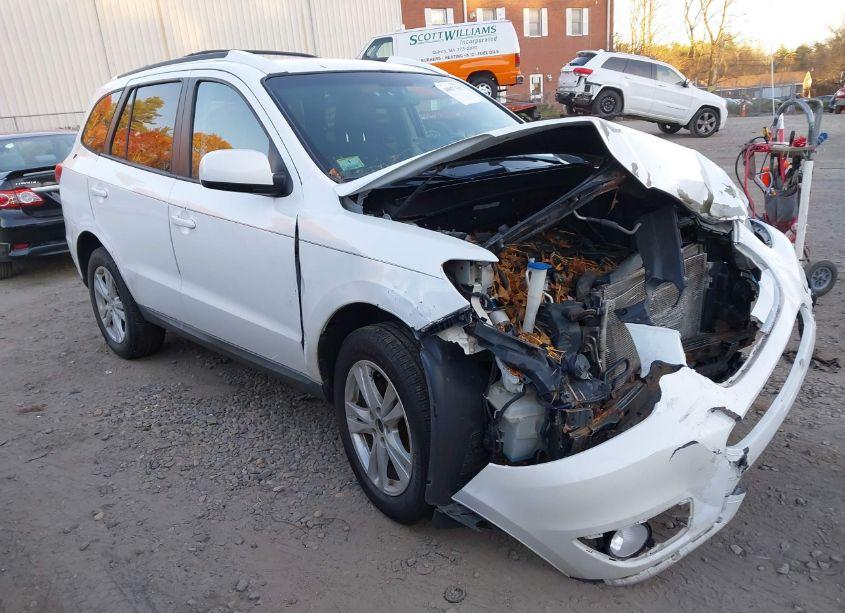 2010 Hyundai Santa FE SE (VIN 5NMSHDAG5AH407530) main photo
