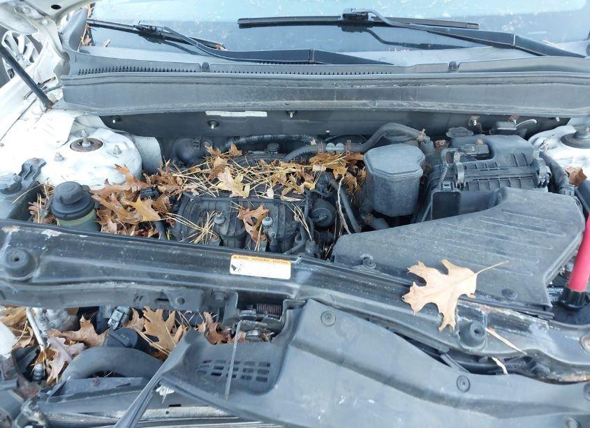 Photo 10 of 2010 Hyundai Santa FE SE (VIN 5NMSHDAG5AH407530)