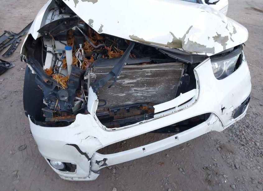 Photo 6 of 2010 Hyundai Santa FE SE (VIN 5NMSHDAG5AH407530)