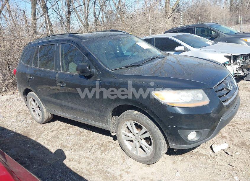 2010 Hyundai Santa FE LIMITED V6 (VIN 5NMSK4AG9AH353229) main photo