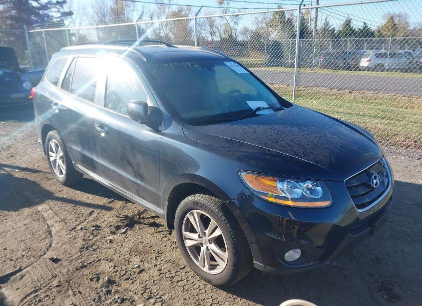 2010 Hyundai Santa FE LIMITED V6 (VIN 5NMSK4AG9AH365929) main photo