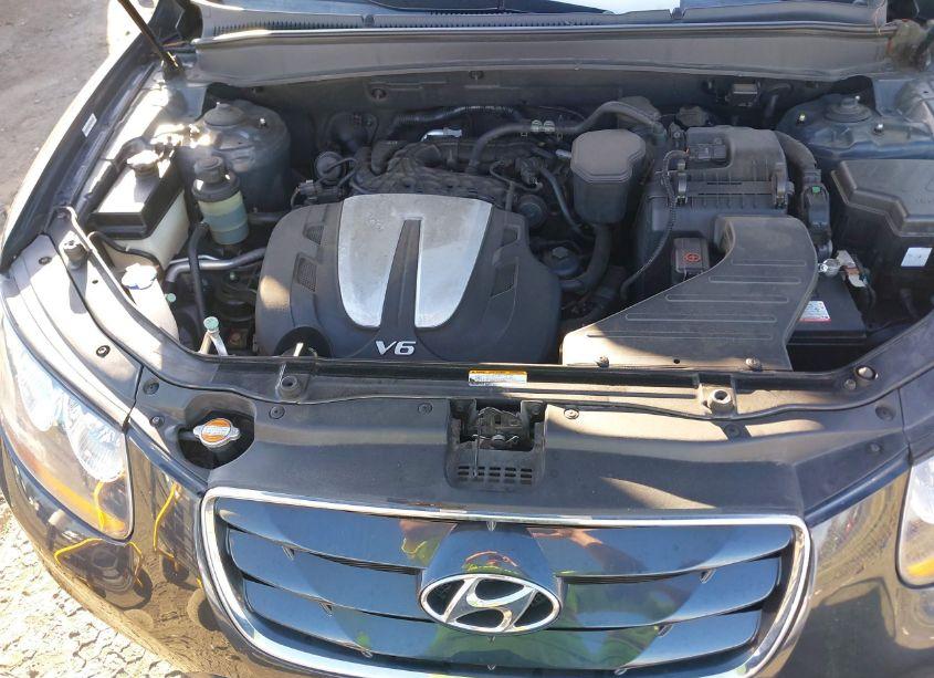 Photo 10 of 2010 Hyundai Santa FE LIMITED V6 (VIN 5NMSK4AG9AH365929)