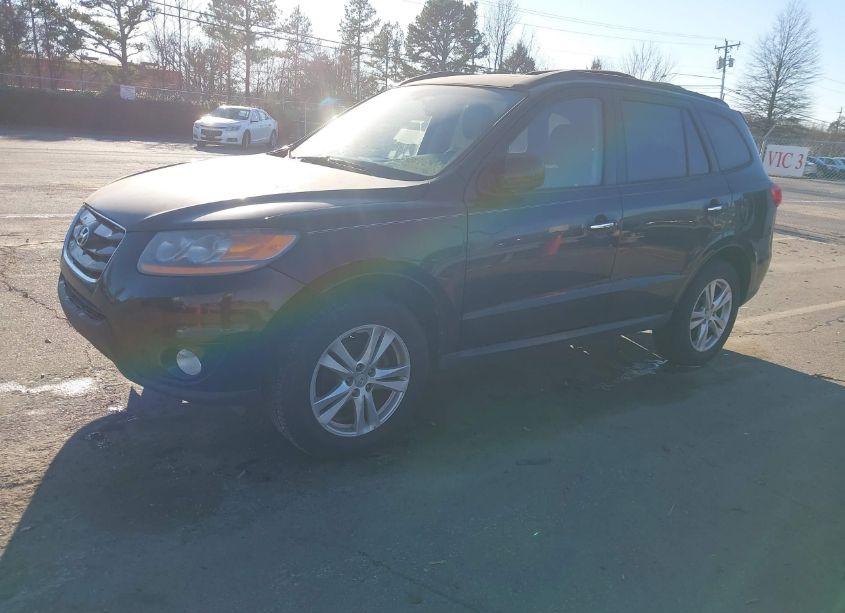 Photo 2 of 2010 Hyundai Santa FE LIMITED V6 (VIN 5NMSKDAG4AH355339)