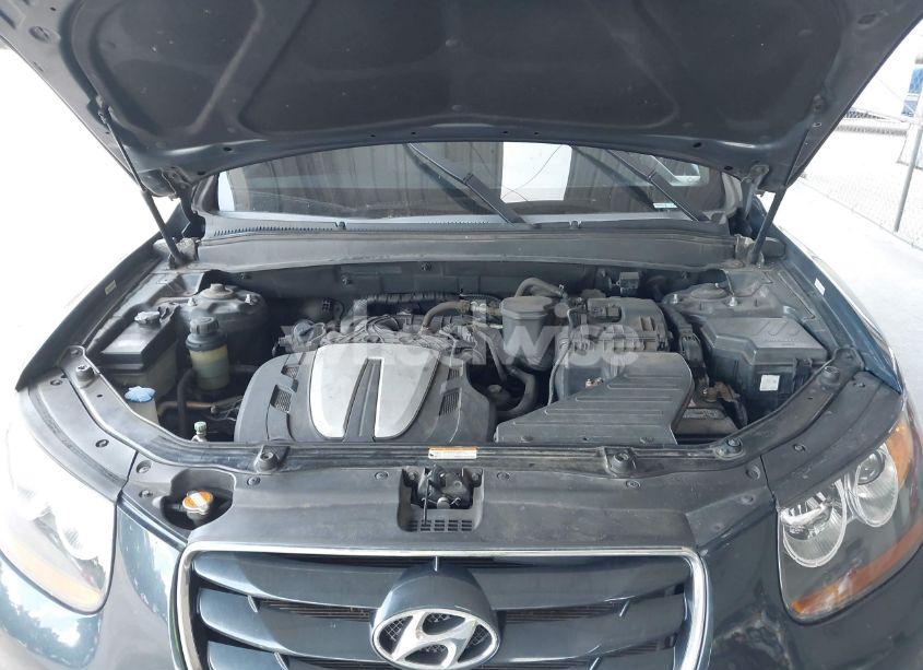 Photo 10 of 2010 Hyundai Santa FE LIMITED V6 (VIN 5NMSKDAG4AH379981)