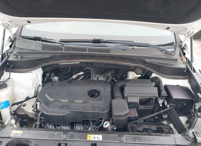 Photo 10 of 2017 Hyundai Santa FE SPORT 2.4L (VIN 5NMZU3LB7HH001295)