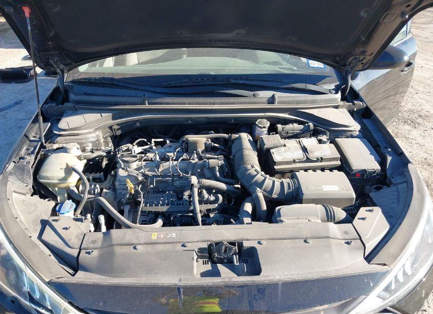 Photo 10 of 2019 Hyundai Elantra ECO (VIN 5NPD94LA7KH464587)