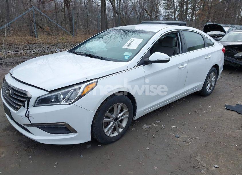 Photo 2 of 2016 Hyundai Sonata ECO (VIN 5NPE24AA2GH353724)