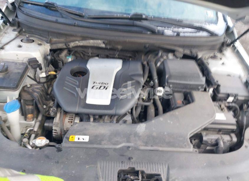 Photo 10 of 2017 Hyundai Sonata ECO (VIN 5NPE24AA3HH457236)