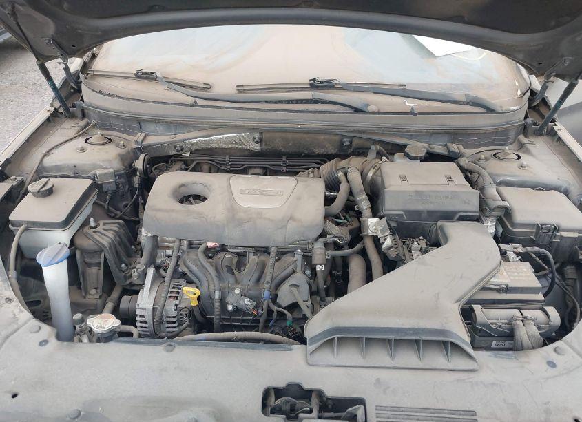 Photo 10 of 2018 Hyundai Sonata ECO (VIN 5NPE24AA7JH700536)