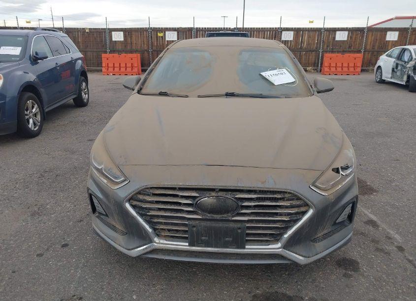 Photo 12 of 2018 Hyundai Sonata ECO (VIN 5NPE24AA7JH700536)