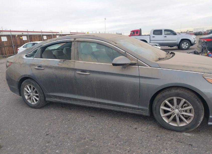 Photo 13 of 2018 Hyundai Sonata ECO (VIN 5NPE24AA7JH700536)