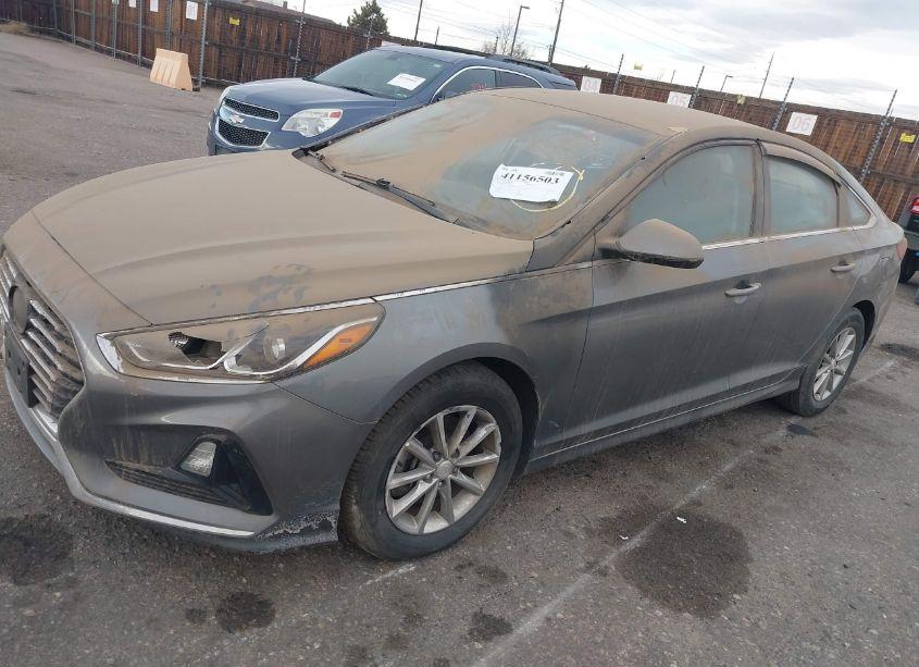 Photo 14 of 2018 Hyundai Sonata ECO (VIN 5NPE24AA7JH700536)