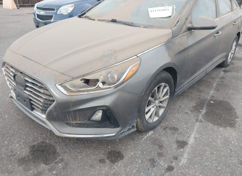 Photo 6 of 2018 Hyundai Sonata ECO (VIN 5NPE24AA7JH700536)