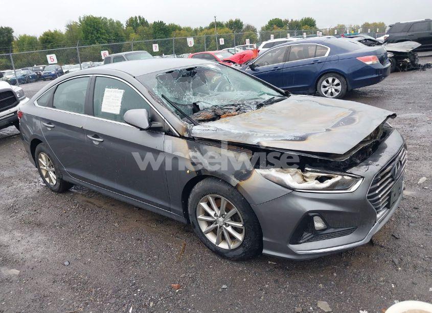 2018 Hyundai Sonata ECO (VIN 5NPE24AA8JH679955) main photo