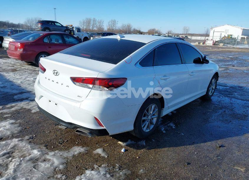 Photo 4 of 2018 Hyundai Sonata ECO (VIN 5NPE24AAXJH710932)
