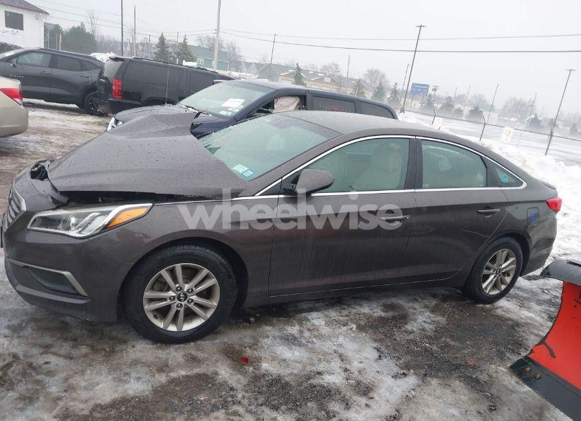 Photo 14 of 2016 Hyundai Sonata SE (VIN 5NPE24AF0GH324444)