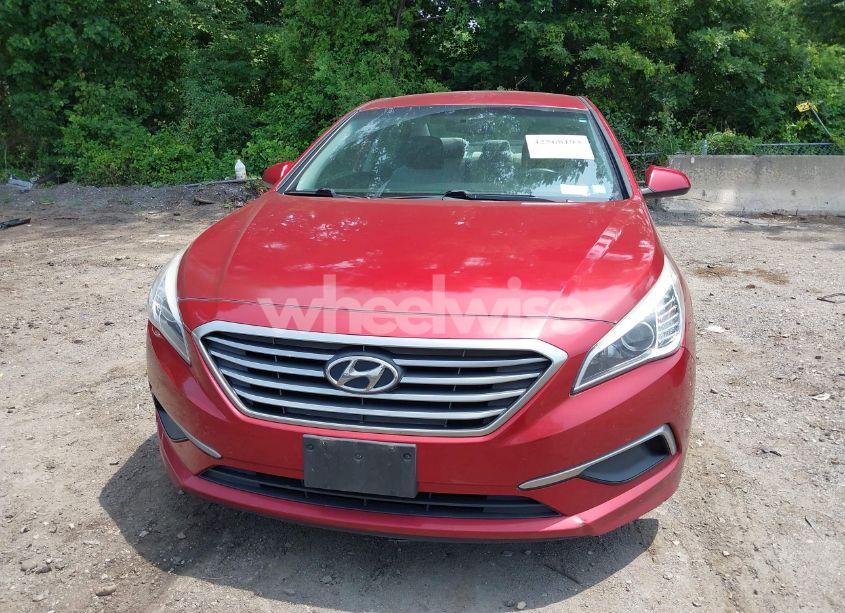 Photo 12 of 2016 Hyundai Sonata N/A (VIN 5NPE24AF0GH395112)