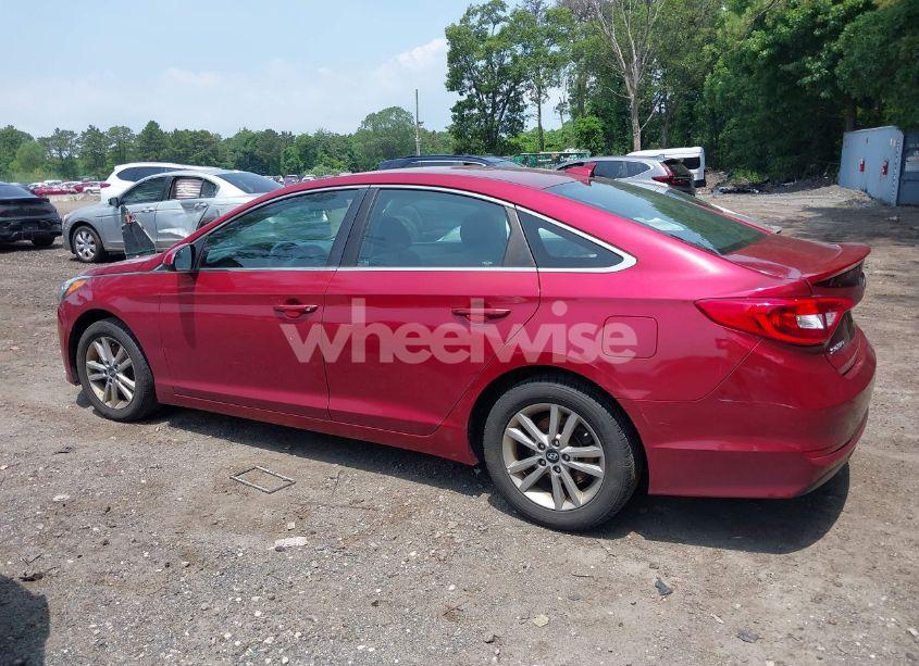 Photo 14 of 2016 Hyundai Sonata N/A (VIN 5NPE24AF0GH395112)