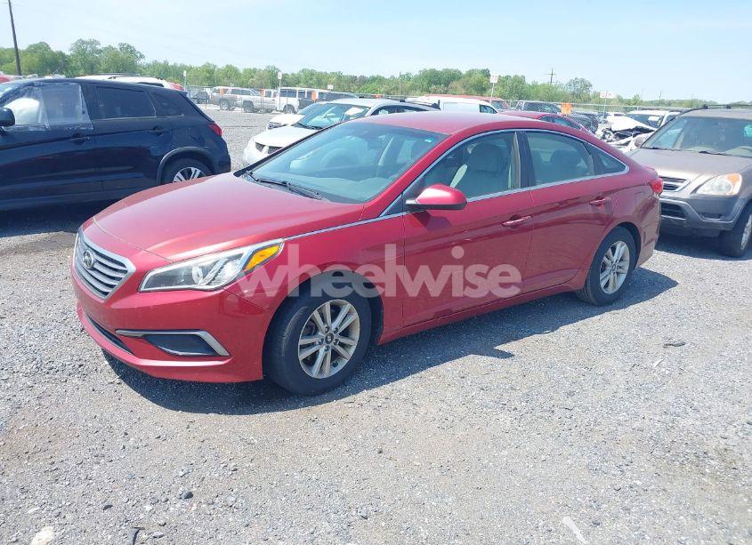 Photo 2 of 2016 Hyundai Sonata SE (VIN 5NPE24AF0GH426827)
