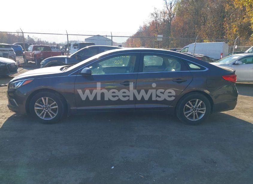 Photo 14 of 2016 Hyundai Sonata SE (VIN 5NPE24AF0GH435317)