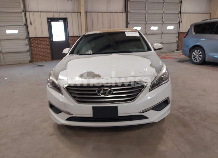 Photo 12 of 2017 Hyundai Sonata N/A (VIN 5NPE24AF0HH442429)