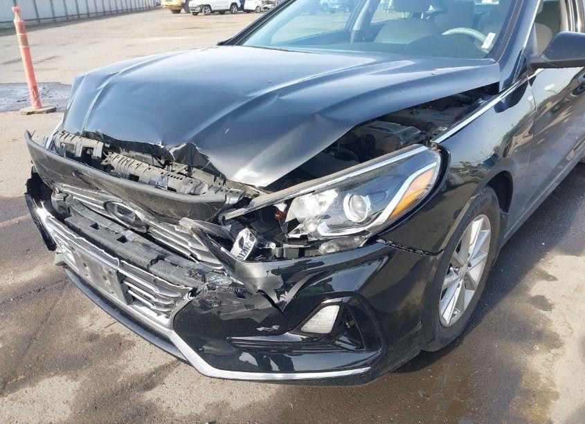 Photo 17 of 2019 Hyundai Sonata SE (VIN 5NPE24AF0KH737070)