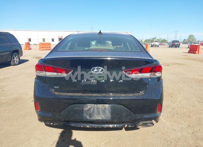 Photo 17 of 2019 Hyundai Sonata SE (VIN 5NPE24AF0KH746755)