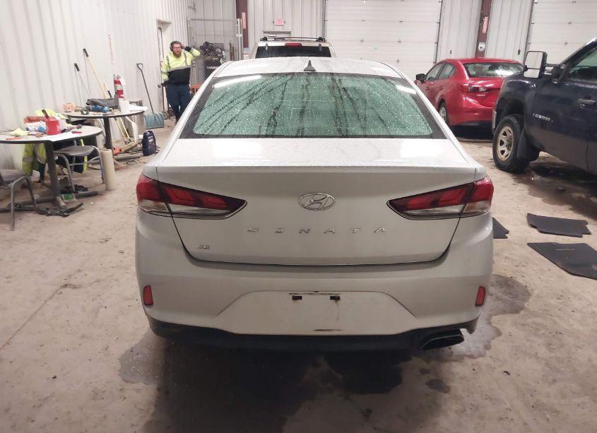 Photo 16 of 2019 Hyundai Sonata SE (VIN 5NPE24AF0KH748022)