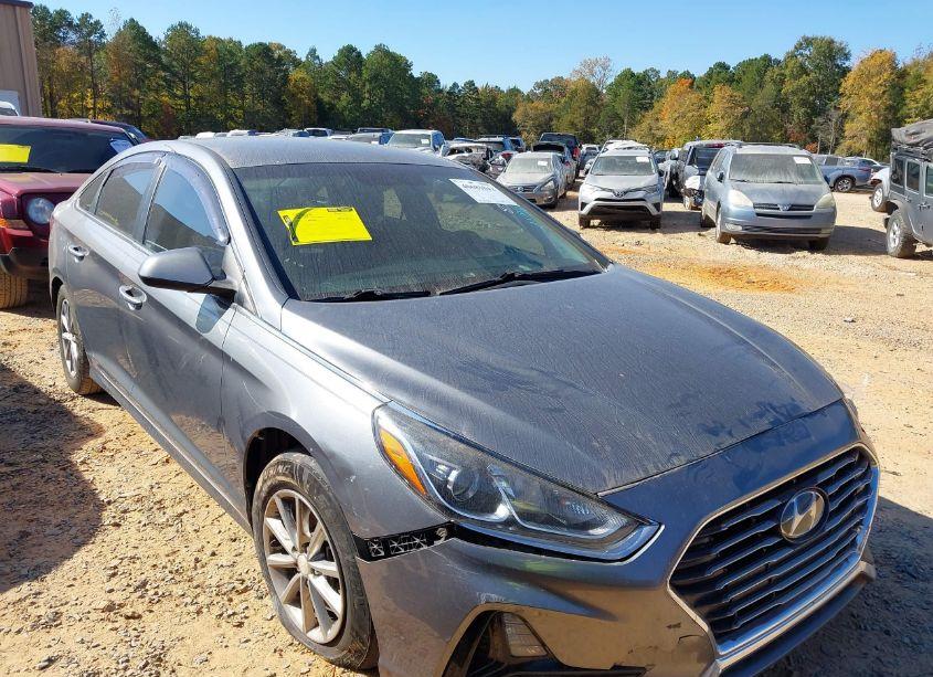 2019 Hyundai Sonata SE (VIN 5NPE24AF0KH758534) main photo