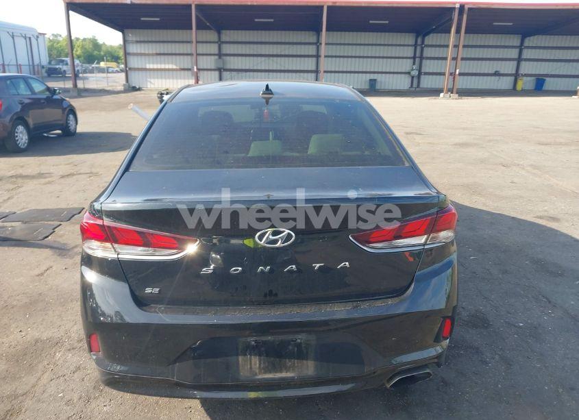 Photo 16 of 2019 Hyundai Sonata SE (VIN 5NPE24AF0KH792621)