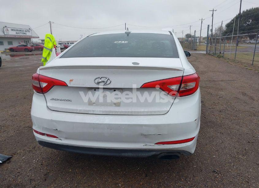 Photo 17 of 2016 Hyundai Sonata SE (VIN 5NPE24AF1GH317891)