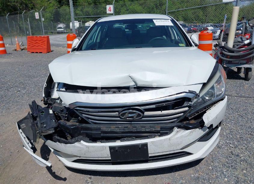 Photo 12 of 2016 Hyundai Sonata SE (VIN 5NPE24AF1GH337963)