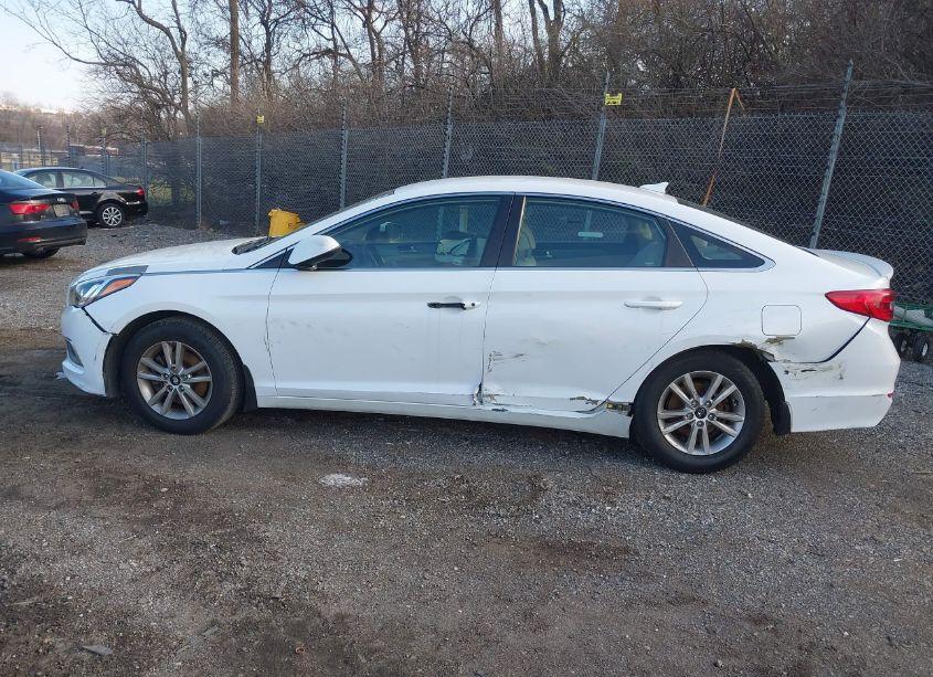 Photo 13 of 2016 Hyundai Sonata SE (VIN 5NPE24AF1GH434130)